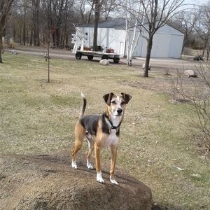 Meet your Posher, Karen